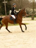 DSC07753 DSC07753