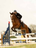 DSC07755 DSC07755