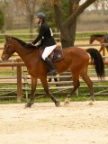 DSC07764 DSC07764