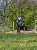 IMG_1027 IMG_1027
