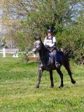 IMG_1031 IMG_1031