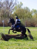 IMG_1040 IMG_1040