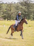 IMG_9553 IMG_9553