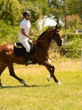 DSC00526 DSC00526