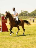 DSC00528 DSC00528