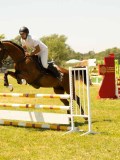 DSC00529 DSC00529