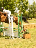 DSC00532 DSC00532