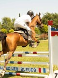 DSC00536 DSC00536