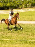 DSC01359 DSC01359