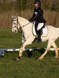 IMG_0502