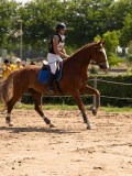 DSC09169