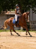DSC09171