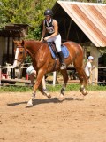 DSC09176