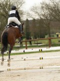 DSC04610 DSC04610