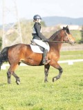 24_04787 24_04787