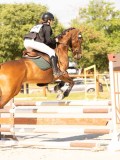 DSC00135 DSC00135