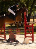 DSC00139 DSC00139