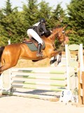 DSC00143 DSC00143