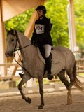 DSC07229 DSC07229