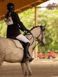 DSC07234 DSC07234