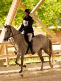 DSC07238 DSC07238