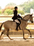 DSC07243 DSC07243