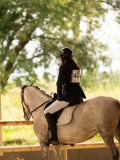 DSC07258 DSC07258