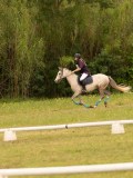 DSC08414 DSC08414