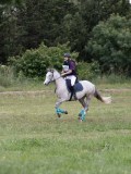 IMG_3411 IMG_3411