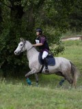IMG_3416 IMG_3416