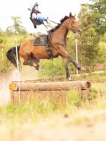 DSC08741 DSC08741