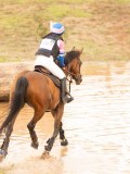 DSC08743 DSC08743