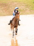 DSC08745 DSC08745