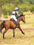 DSC08748 DSC08748