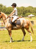 DSC00488 DSC00488