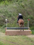 IMG_4208