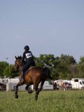 IMG_6287