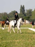 DSC08287