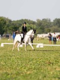 DSC08295