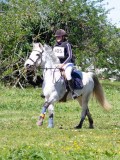 IMG_1048 IMG_1048