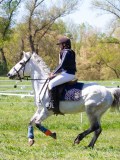 IMG_1055 IMG_1055