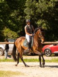 DSC00076 DSC00076