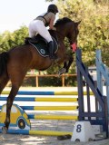 DSC00078 DSC00078