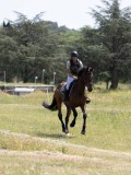 IMG_9529 IMG_9529