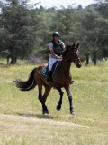 IMG_9530 IMG_9530