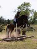 IMG_9531 IMG_9531