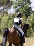 IMG_9534 IMG_9534