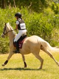 DSC00510 DSC00510