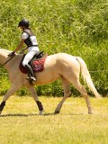 DSC00523 DSC00523