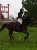 IMG_0507 IMG_0507